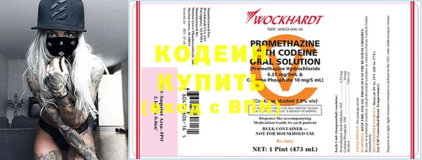 прущие крисы Калининец