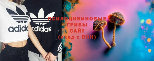 бошки Арсеньев