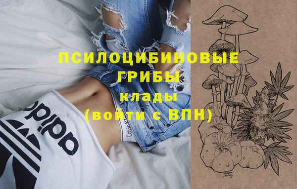 бошки Арсеньев